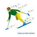 Winter sports - para-alpine skiing. Disabled skier running downh Royalty Free Stock Photo