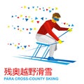 Winter sports - para cross-country skiing. Disabled skier running
