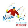 Winter sports - sledge hockey. Disabled player with hockey-sticks