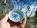 Winter-spring hiking spring independent travel in forest and river, willow catkins Royalty Free Stock Photo