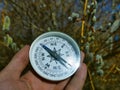 Winter-spring hiking (spring independent travel in forest and river, willow catkins Royalty Free Stock Photo