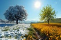 Winter and spring landscape with blue sky. Concept of change season. Royalty Free Stock Photo