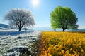 Winter and spring landscape with blue sky. Concept of change season. Royalty Free Stock Photo