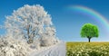 Winter and spring landscape with blue sky.Concept of change season. Royalty Free Stock Photo