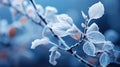 Winter or spring nature background with frozen branch with leaves covered by snow and ice. Frosty beautiful leaves close Royalty Free Stock Photo