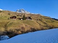 Winter Spring in Partnun near Sant Antonien in Praettigau. Hiking and skiing together. View of the peak Sulzfluh. Skimo Royalty Free Stock Photo