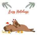 Winter square festive card on white background. Capybara, baby capybara Royalty Free Stock Photo