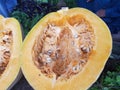 Winter squash which has a hard rind and firm flesh and can be stored for a long time