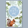 Winter squirrel vertical banner Royalty Free Stock Photo