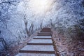 Winter stairway view in Huangshan National park.