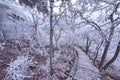 Winter stairway view in Huangshan National park.