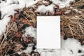 Winter stationery mockup scene. Closeup of blank greeting card, invitation on frozen ground. Dry grass and autumn leaves