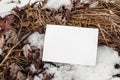 Winter stationery still life. Closeup of horizontal blank greeting card, invitation on frozen ground. Dry grass and