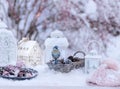 Winter still life with small bird Royalty Free Stock Photo
