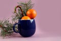 Winter still life: tangerines in a blue mug with a pine branch and caramel on a pastel background, space for text Royalty Free Stock Photo