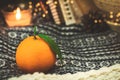 Winter still life with tangerines, mandarin slices on knitted sweater background with garlad cozy bokeh, copy space