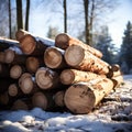 Winter stockpile Sawn pine tree trunks in a snowy forest