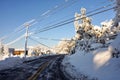 Winter storm Royalty Free Stock Photo