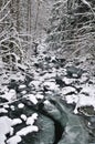 Winter stream Royalty Free Stock Photo