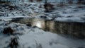 Winter stream, art, rivulet, snow