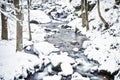 Winter Stream Royalty Free Stock Photo