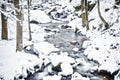 Winter Stream