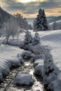 Winter stream