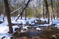 Winter stream Deans Ravine Park Connecticut Royalty Free Stock Photo