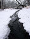 Winter Stream Scene in Illinois Royalty Free Stock Photo