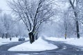 Winter in the street Royalty Free Stock Photo