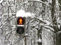 Winter, street, traffic light for pedestrians, red, stop Royalty Free Stock Photo