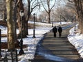 A winter stroll