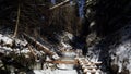 Winter in Sucha Bela gorge , Slovensky raj National park , Slovakia Royalty Free Stock Photo