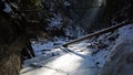 Winter in Sucha Bela gorge , Slovensky raj National park , Slovakia Royalty Free Stock Photo