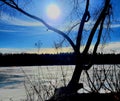 Winter sun in Alberta the ice on the river is begining to melt and the trees stand out against the light