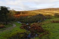 Winter sun begins to brighten Padley Gorge