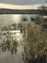 Winter Sun on Blagdon Lake Royalty Free Stock Photo