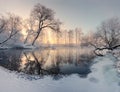 Winter sun illuminate frosty trees in the morning