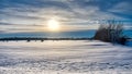 Late afternoon Winter sun on the praries Royalty Free Stock Photo