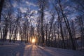 Winter sun in Siberia Royalty Free Stock Photo