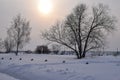 Winter sun. Winter landscape. Russia. Siberia. Royalty Free Stock Photo