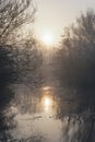 Winter sunlight shines through trees across a foggy lake Royalty Free Stock Photo