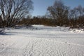 The small river in January. Willows on coast. Royalty Free Stock Photo