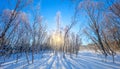 Winter sunny  landscape - snowy forest and real sun. The untouched snow sparkles. Trees cast long shadows in the snow. Wonderful Royalty Free Stock Photo