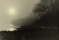 Winter Sunrise - a sepia toned image of trees on the shore Royalty Free Stock Photo