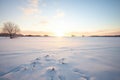 winter sunrise casting shadows on a snowy field