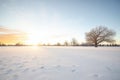 winter sunrise casting shadows on a snowy field