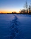 Winter Sunrise Footprints