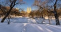 Winter sunrise on frozen lake, Central Park, New York City Royalty Free Stock Photo