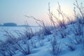 Winter sunrise over frost-covered grasses on snowy hill Royalty Free Stock Photo